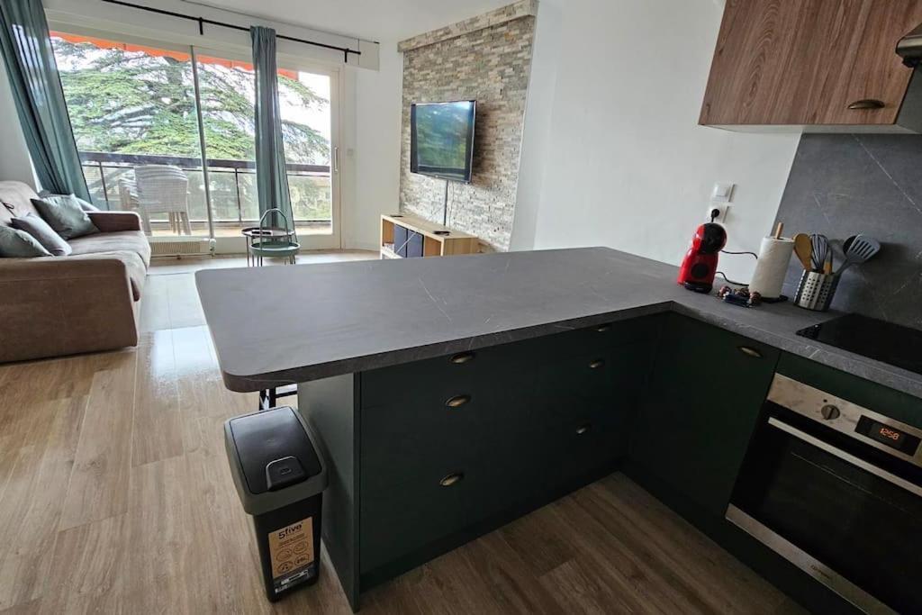 Appartement Le Duc à Thonon-les-Bains Extérieur photo